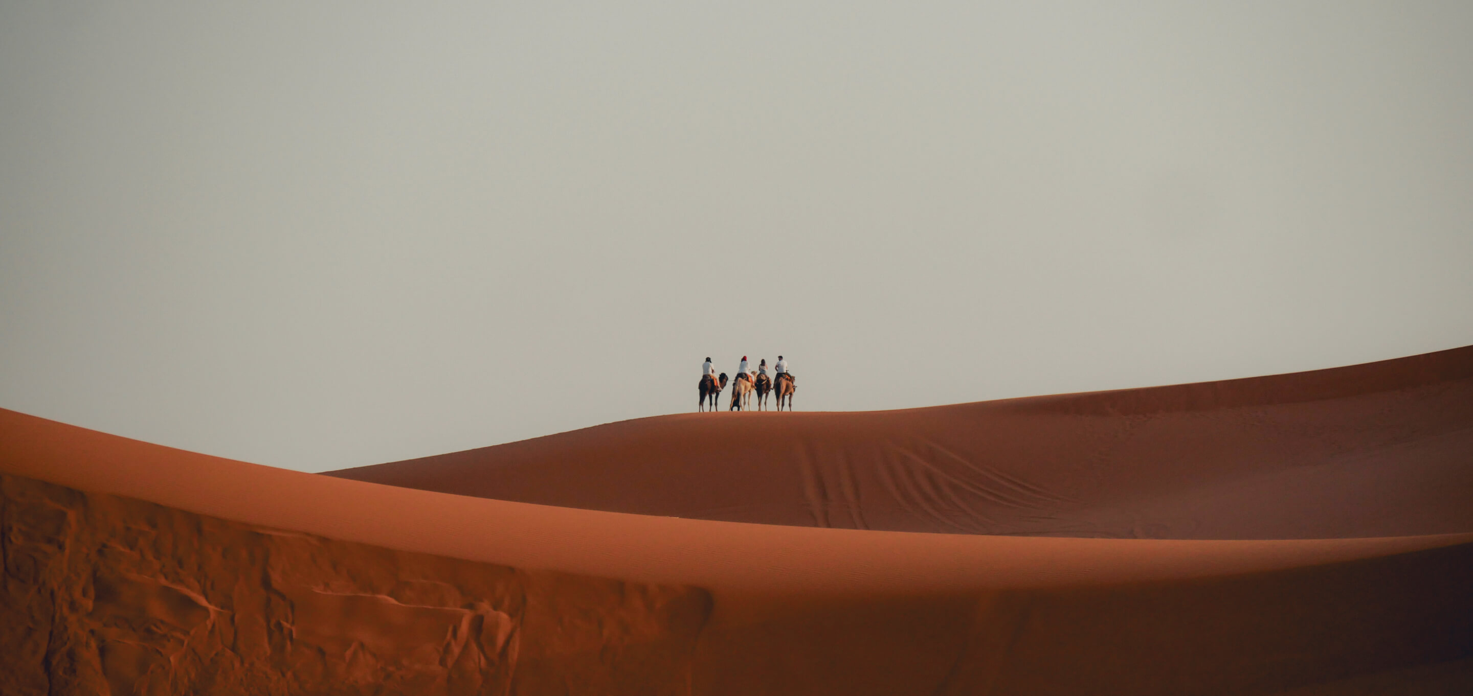 Travel