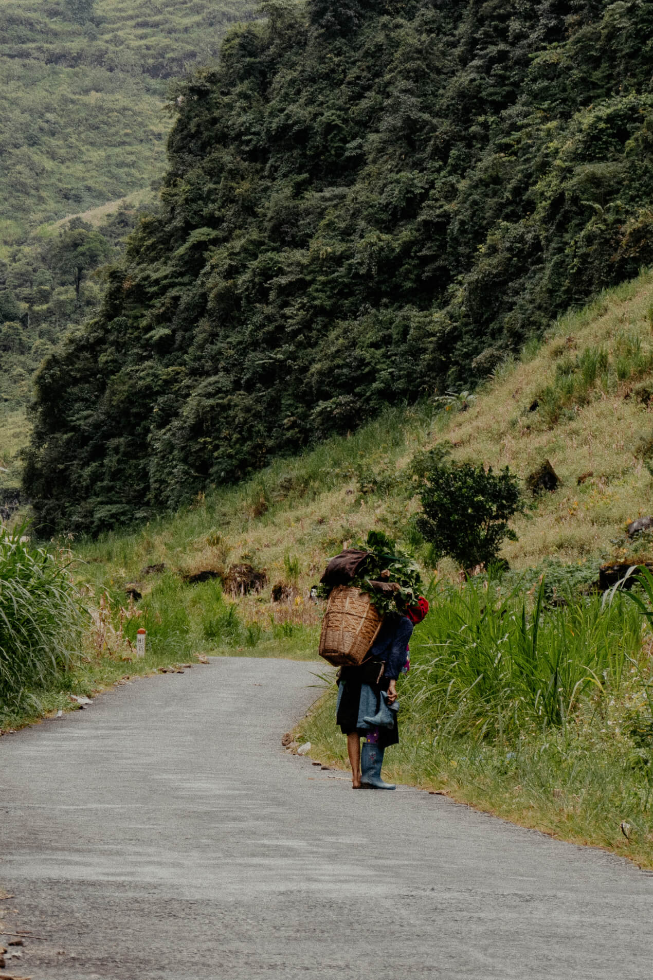Travel
