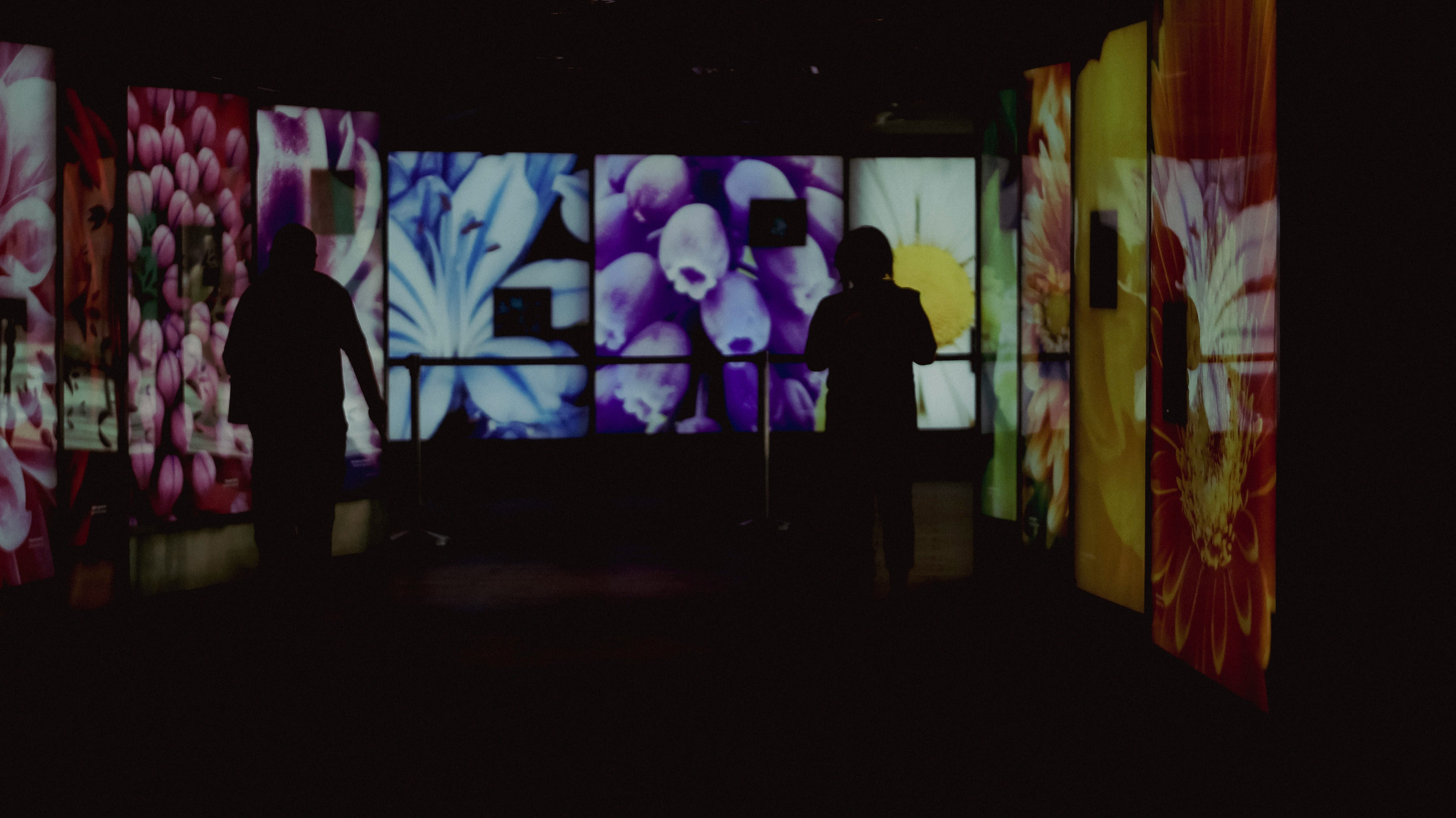 Silhouettes of two people walking in a dark room illuminated by large, colorful floral panels.