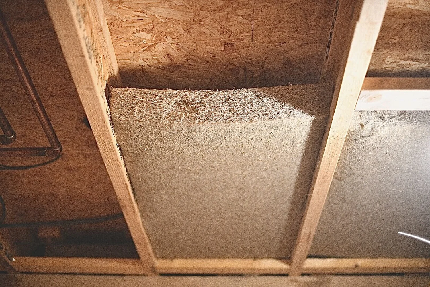 Hempcrete biogenic build