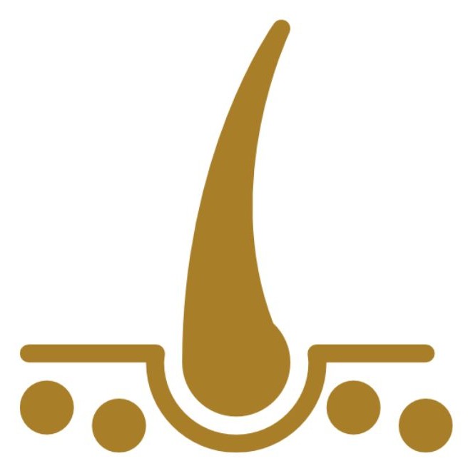 Department Icon
