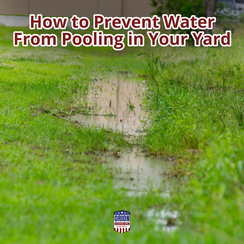 How to Prevent Water From Pooling in Your Yard