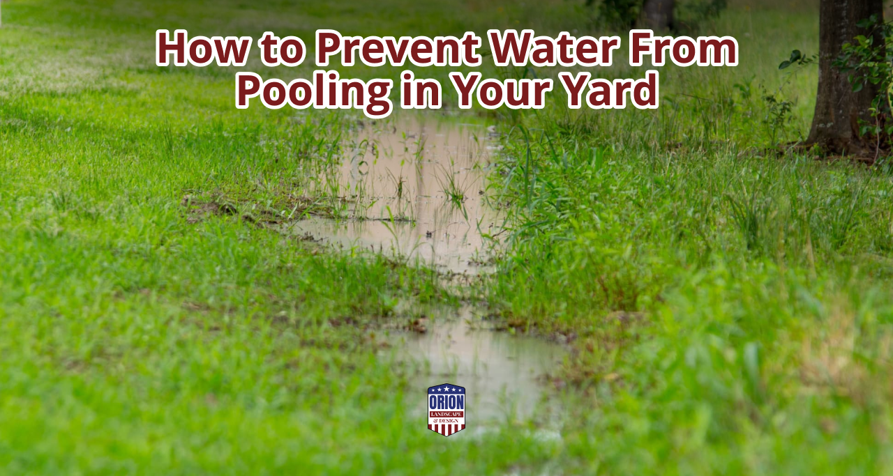 How to Prevent Water From Pooling in Your Yard