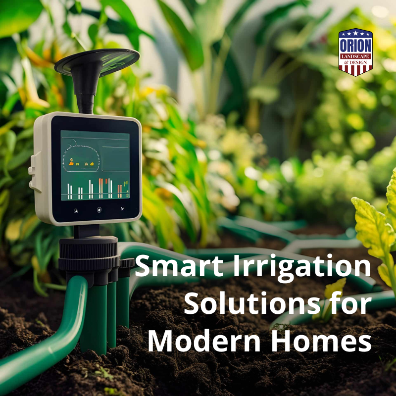 Smart Irrigation Solutions for Modern Homes
