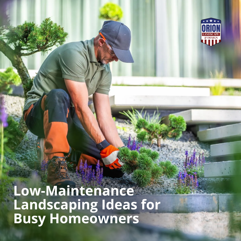 Low-Maintenance Landscaping Ideas for Busy Homeowners