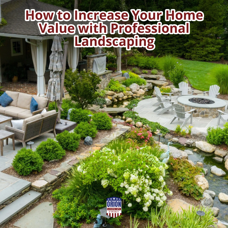 How to Increase Your Home Value with Professional Landscaping