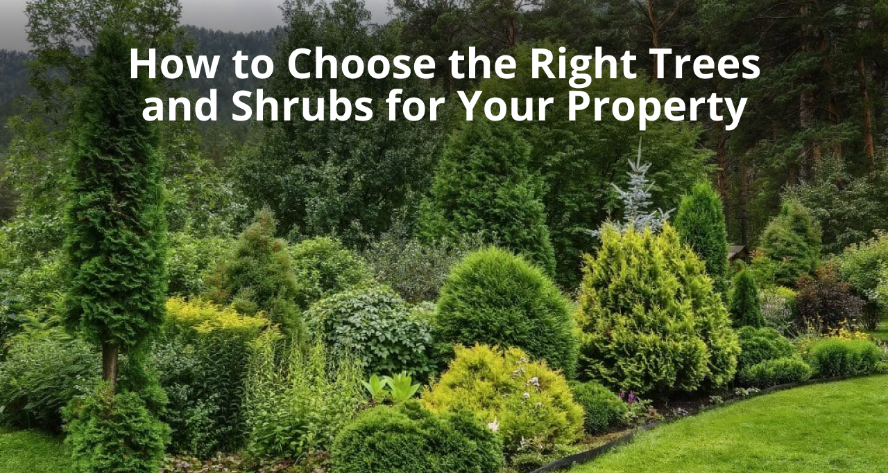 How to Choose the Right Trees and Shrubs for Your Property