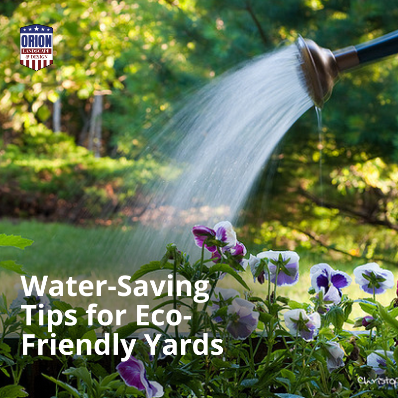 Water-Saving Tips for Eco-Friendly Yards