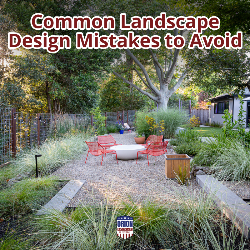 Common Landscape Design Mistakes to Avoid