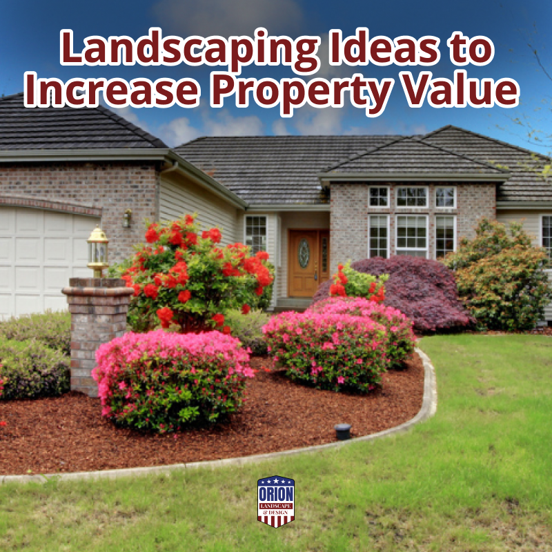 Landscaping Ideas to Increase Property Value