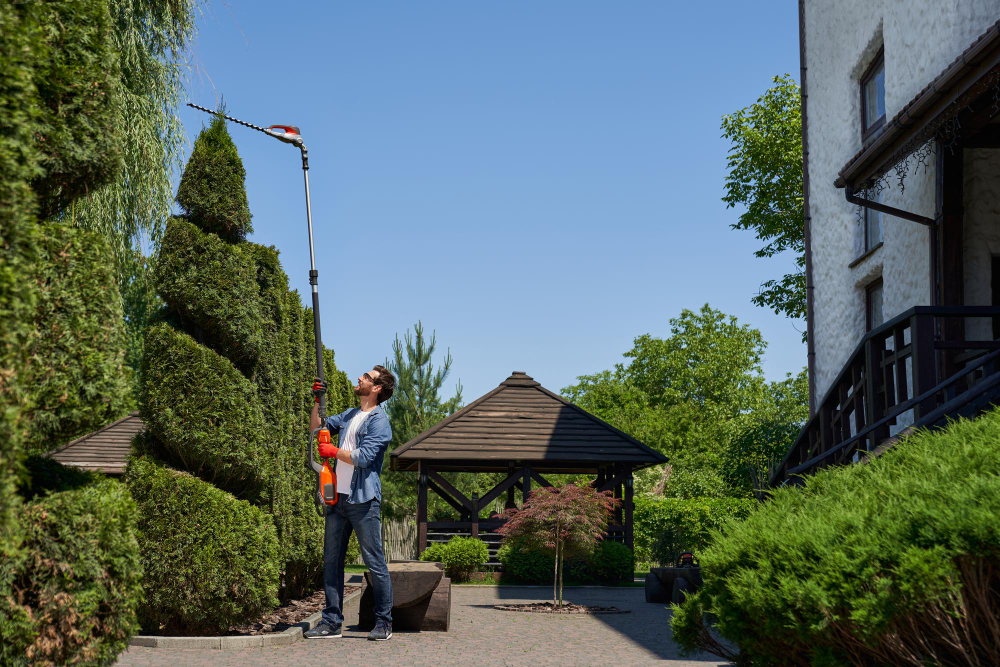 Expert Decorative Stone Walls Service: Style Meets Strength