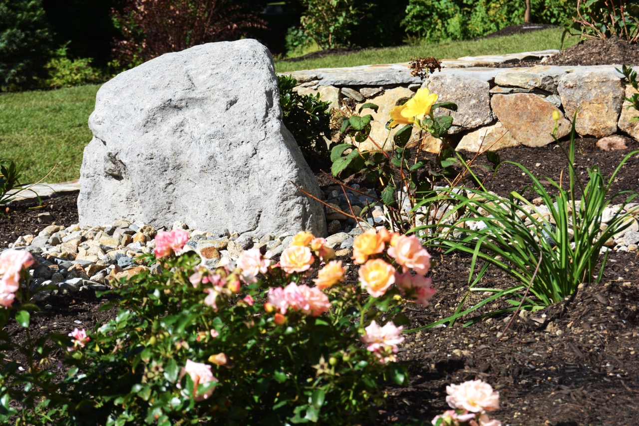 Landscaping: Transforming Your Yard Into a Natural Oasis