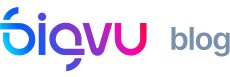 BigVu Blog