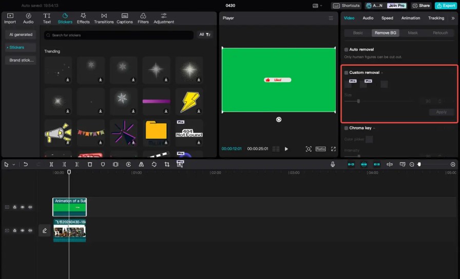 CapCut's Custom Removal tools interface showing Smart Brush, Smart Eraser, and regular Eraser options for manual background removal.