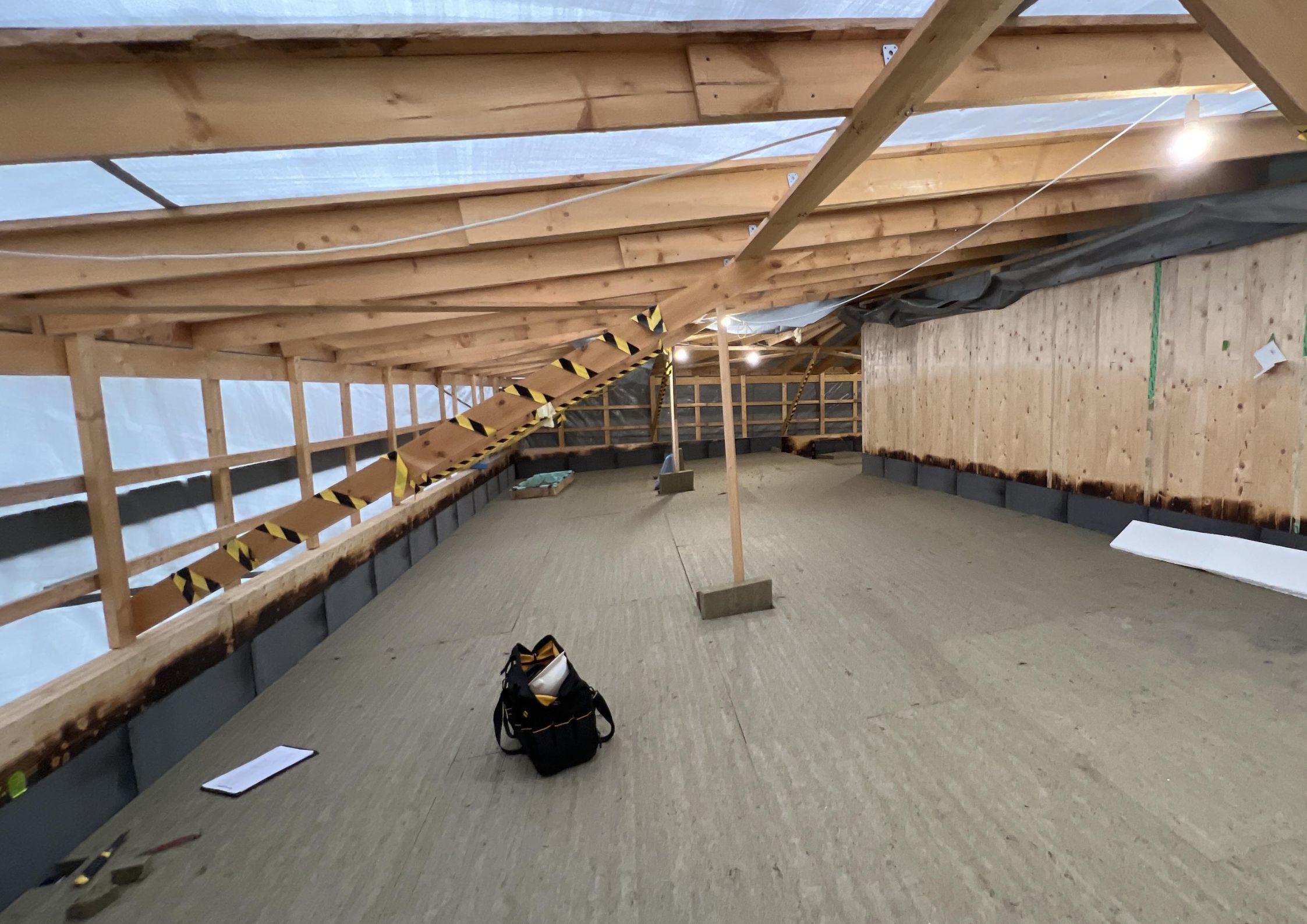 Komplet guide: Skimmelsvamp i bygninger