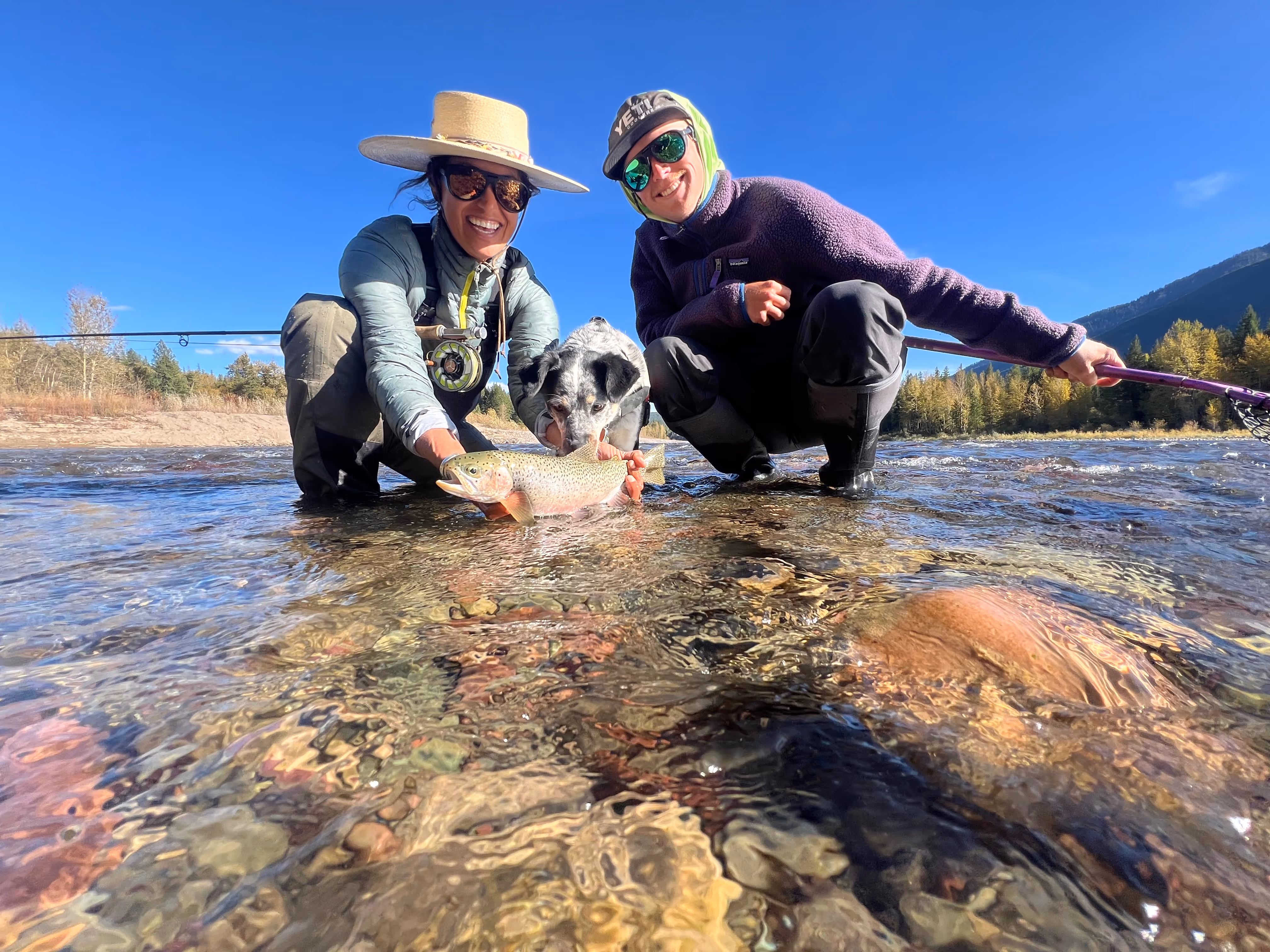 woman man and dog hold fish while standing in river