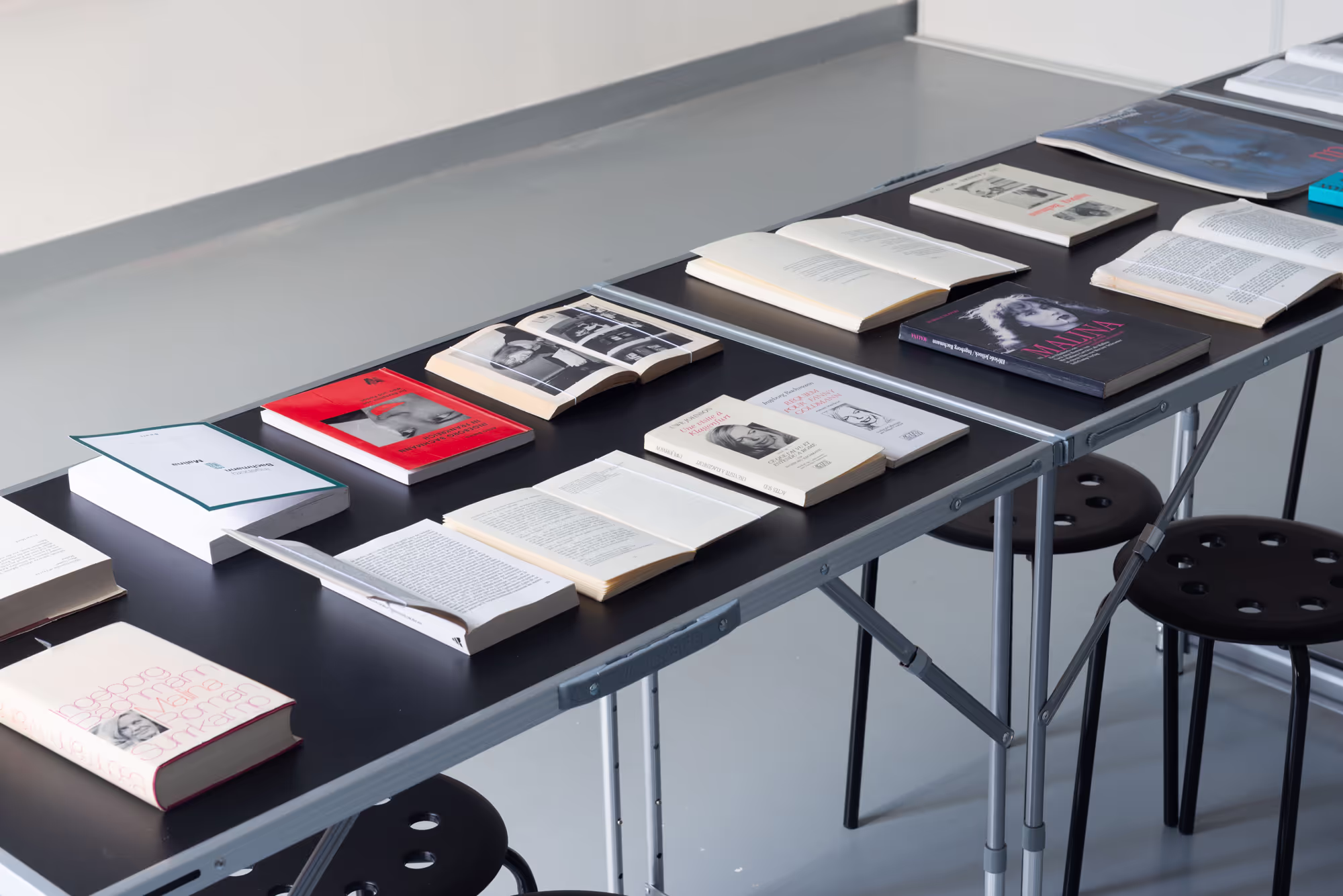 David Moser: Double Standard Installation View