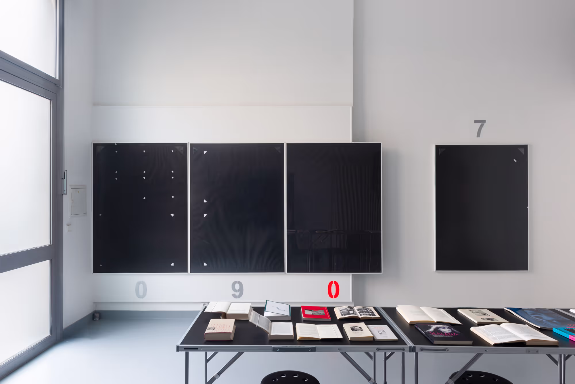 David Moser: Double Standard Installation View