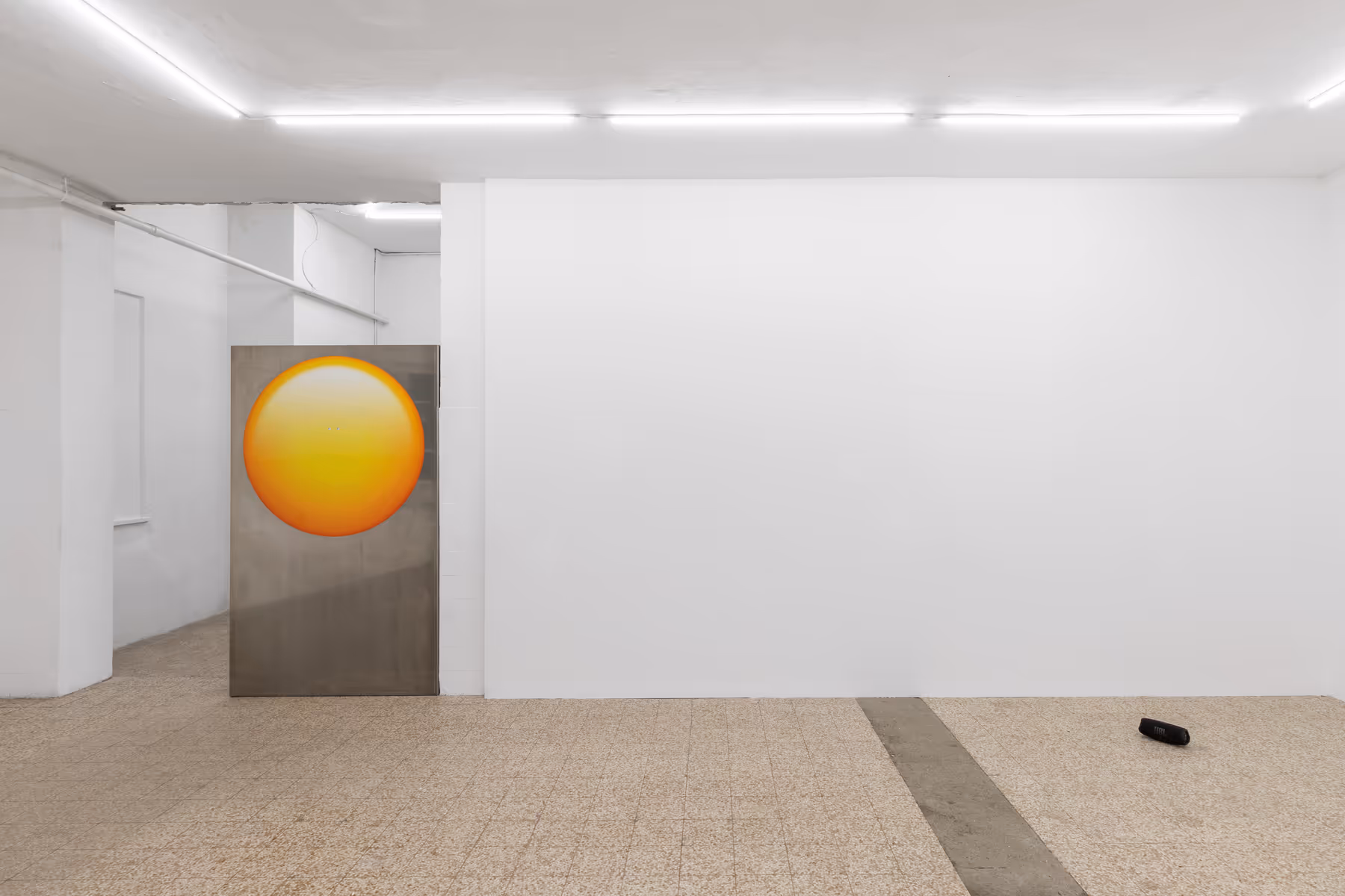 David Moser Installation View