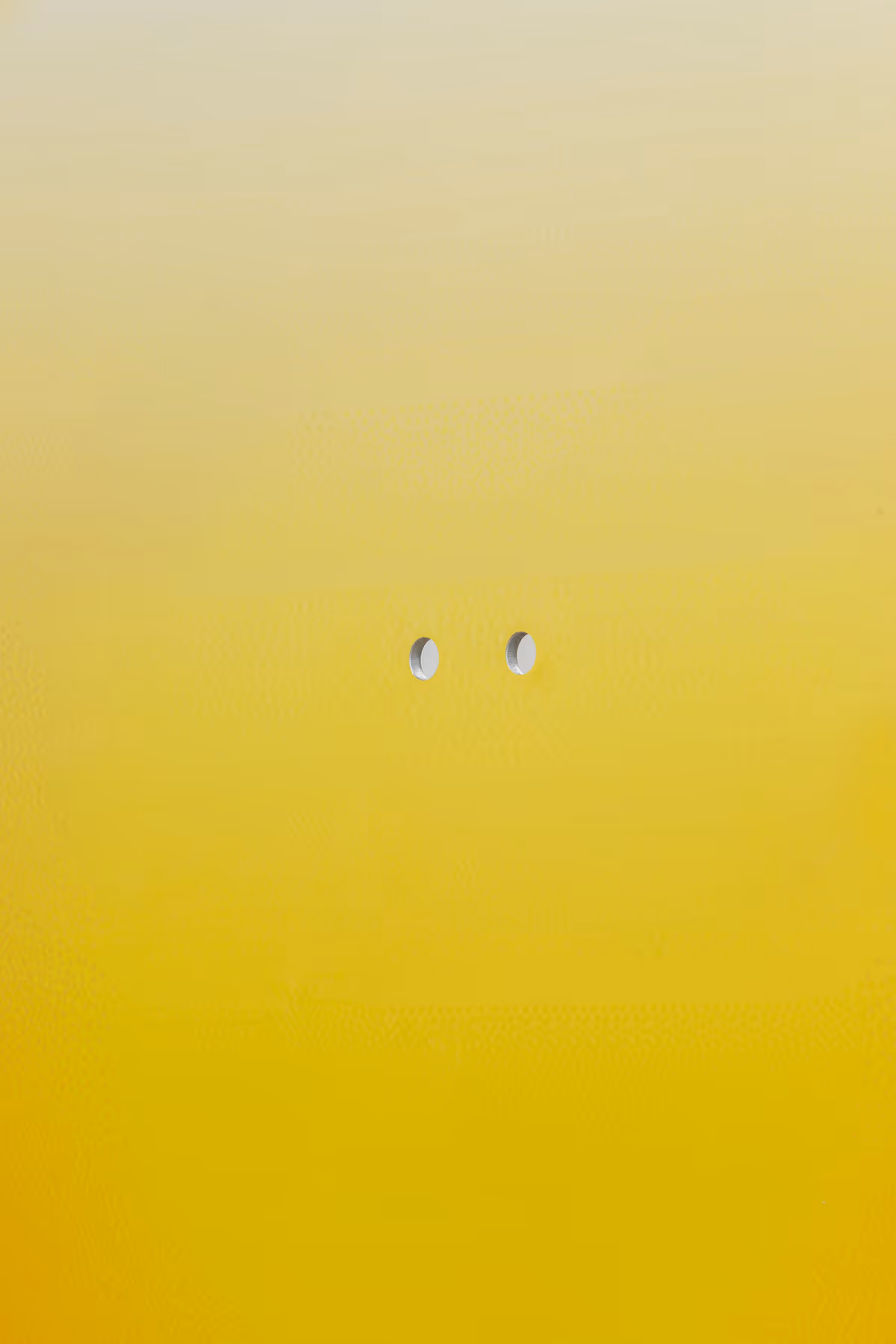 David Moser Installation View