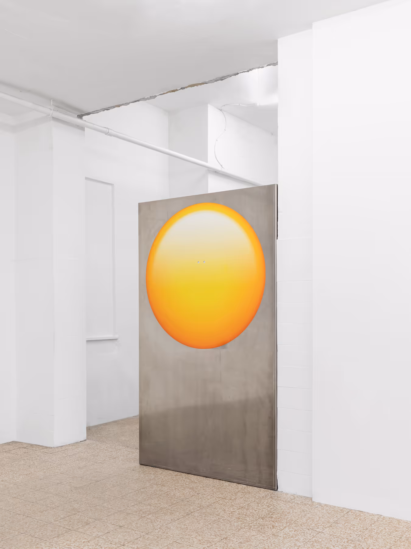 David Moser Installation View