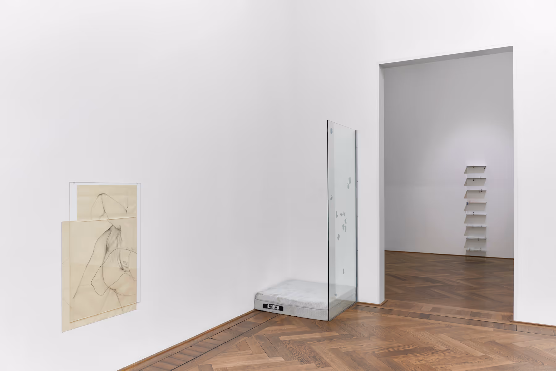 David Moser Installation View