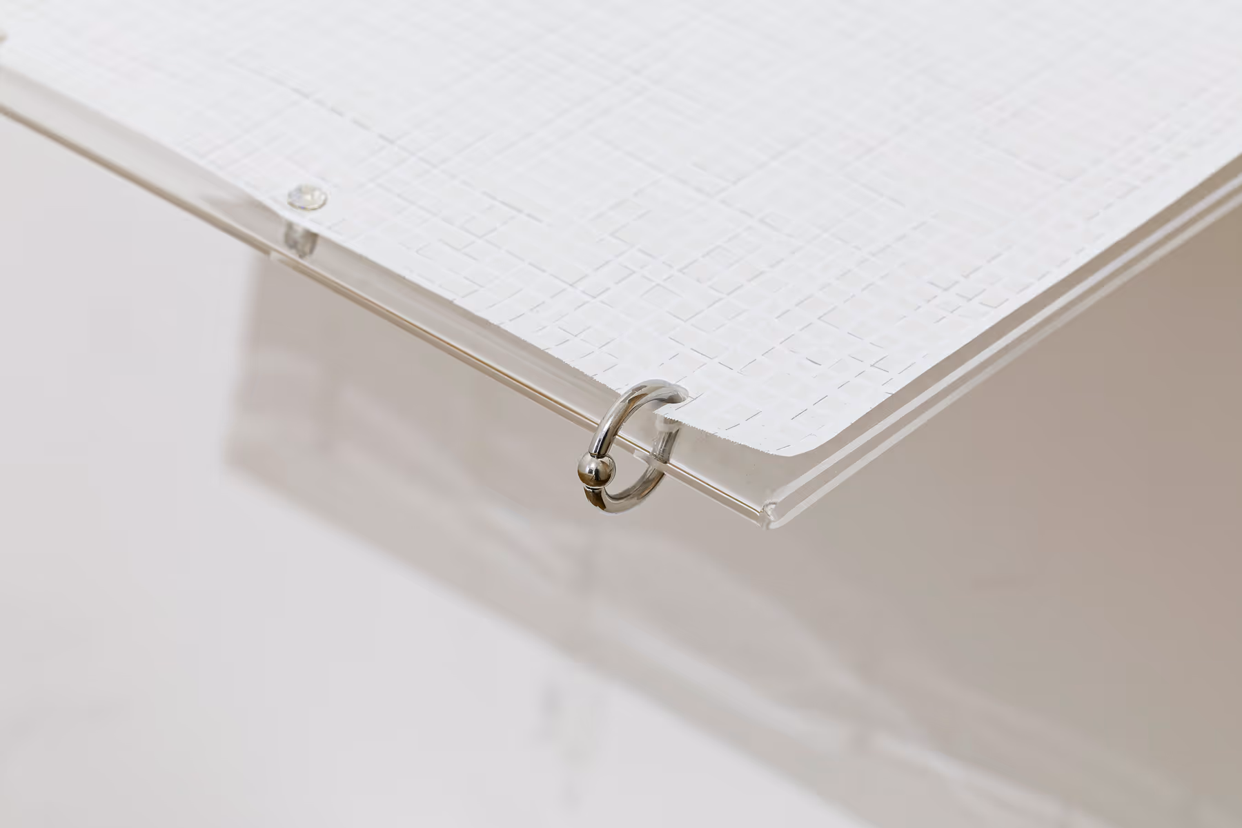 David Moser Installation View