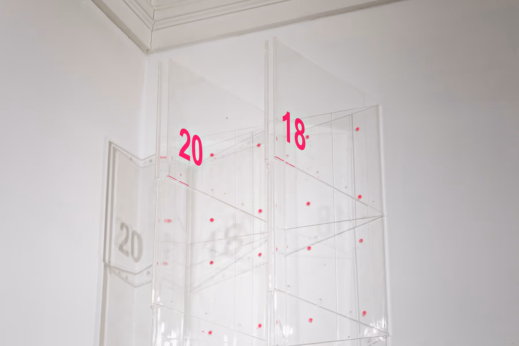 David Moser Installation View