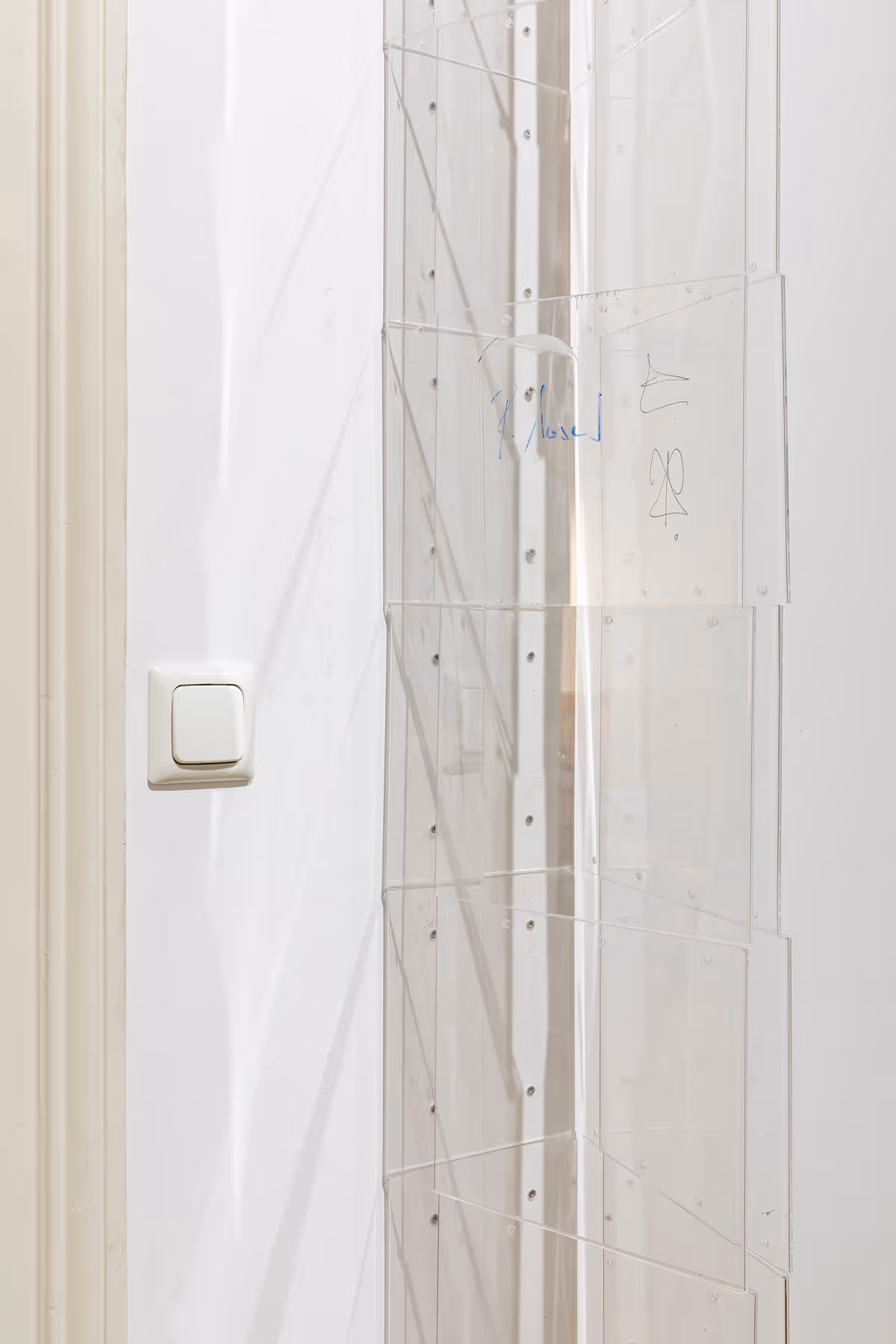 David Moser Installation View