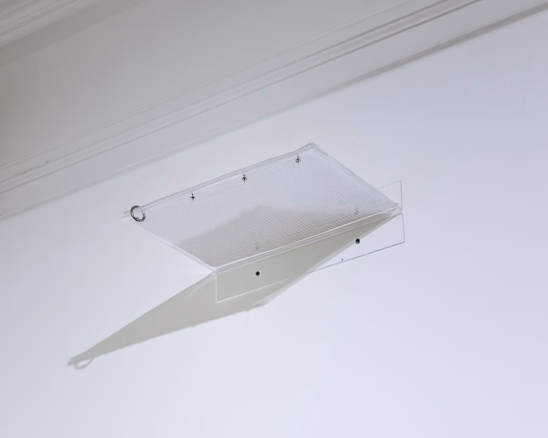 David Moser Installation View