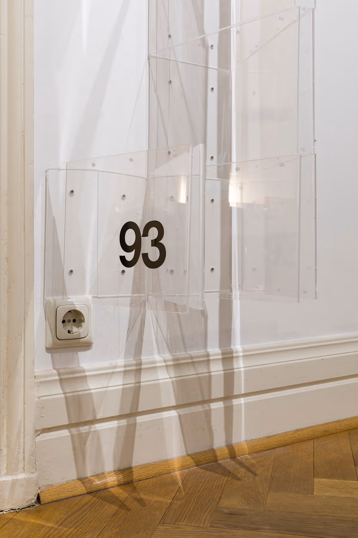 David Moser Installation View