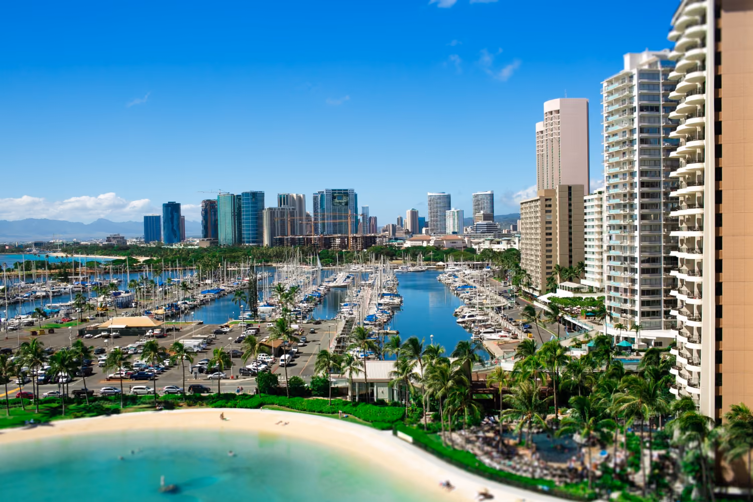 A sunny marina filled with numerous sailboats and yachts, surrounded by palm trees and tall modern buildings, with a city skyline and mountains visible in the distance under a clear blue sky.