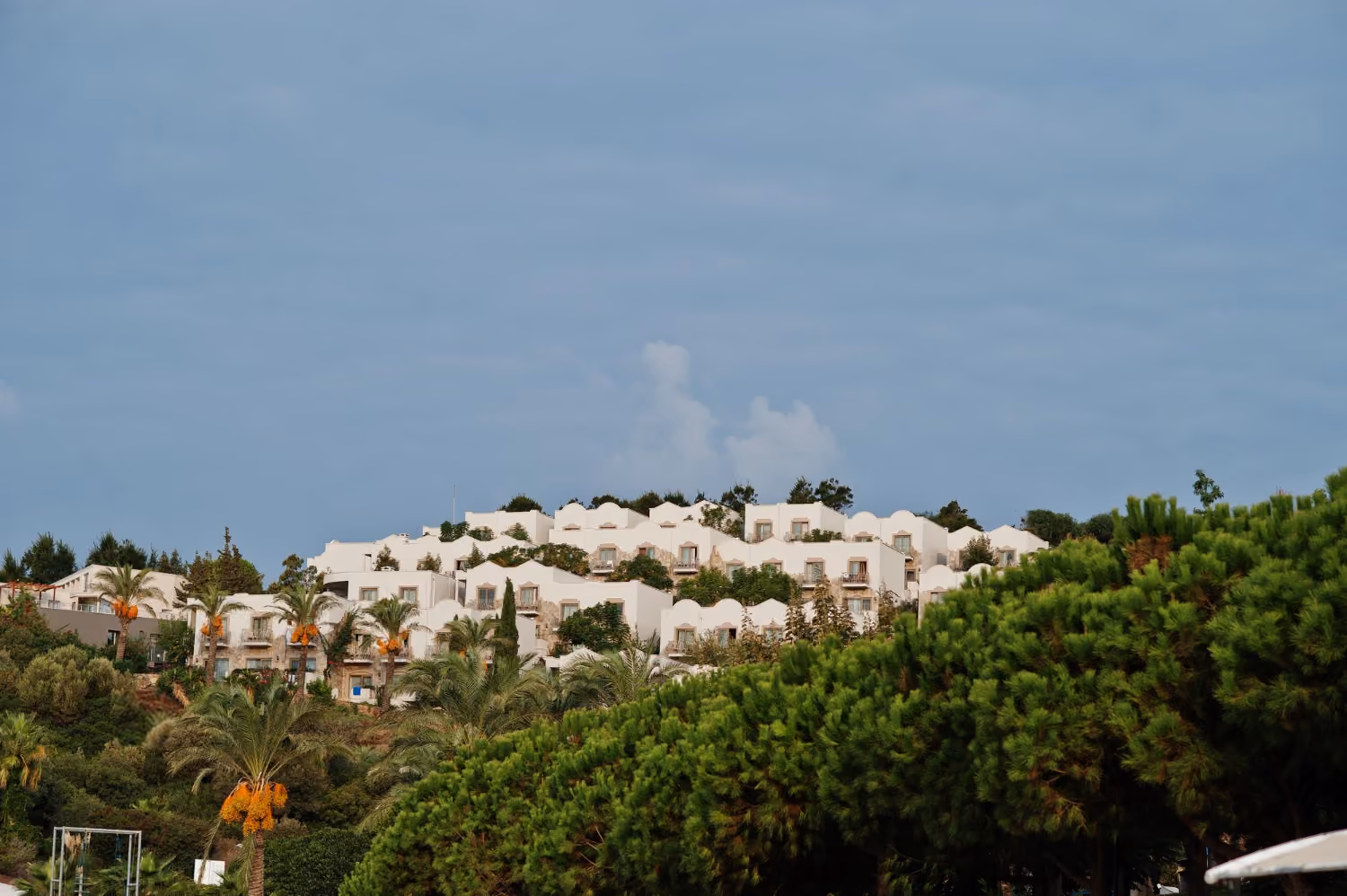 White buildings with curved roofs situated on a hill surrounded by green pine trees and palm trees under a cloudy blue sky.