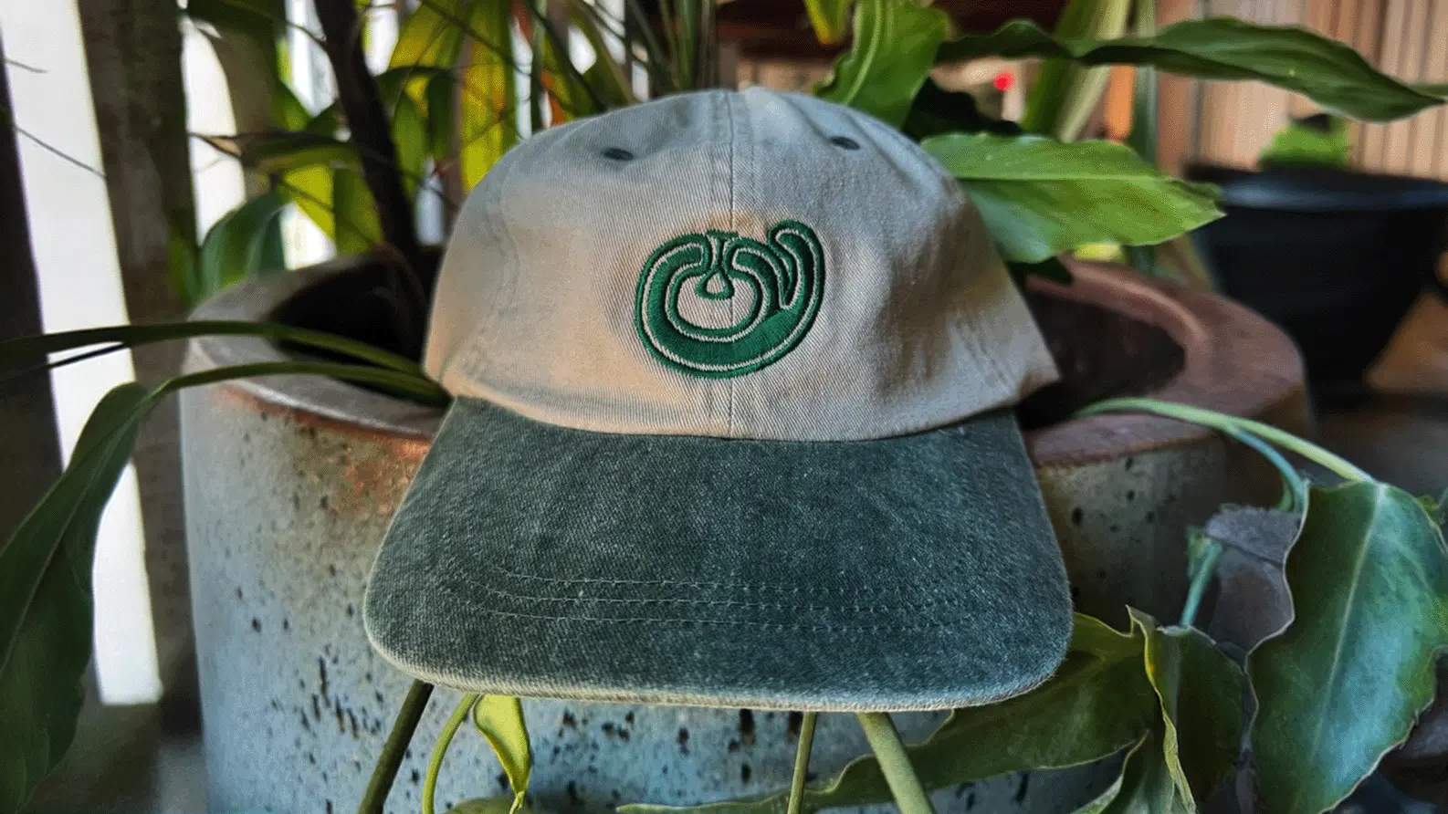 branded hat among plants