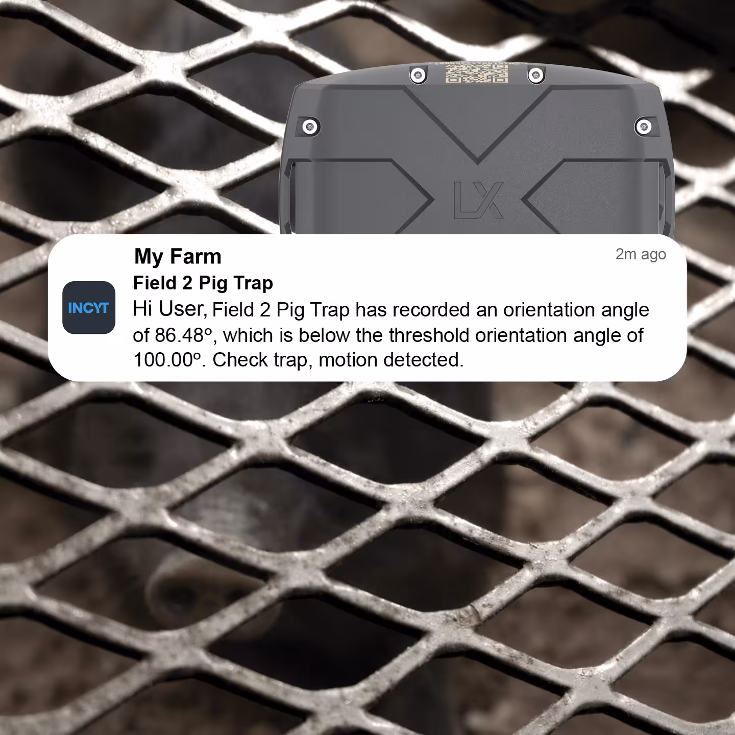 Motion-detected pig trap with digital alert showing orientation below threshold on metal mesh fence.
