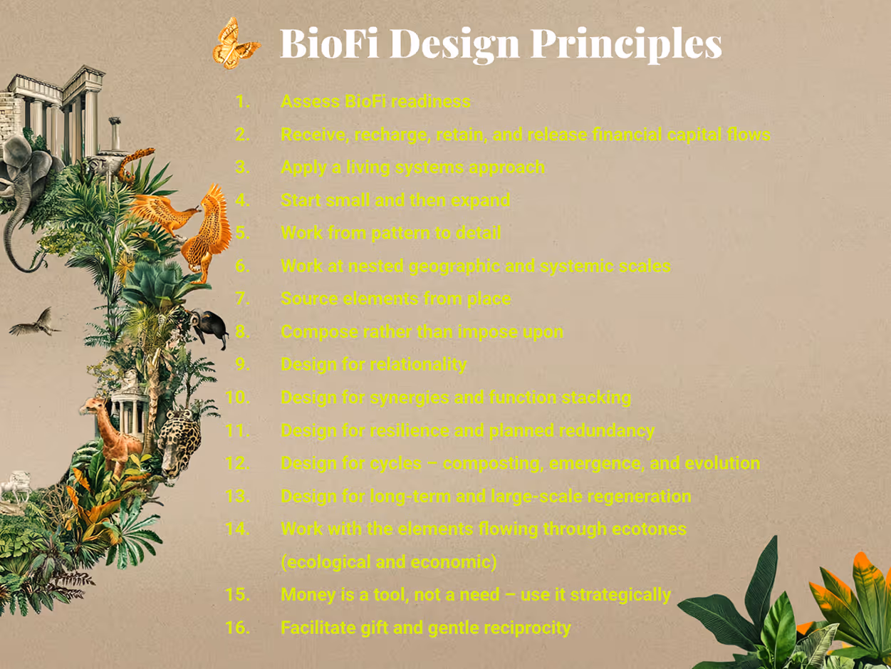 biofi design principle lists image