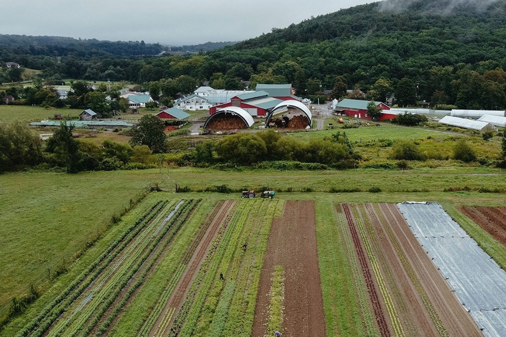 substack artile image