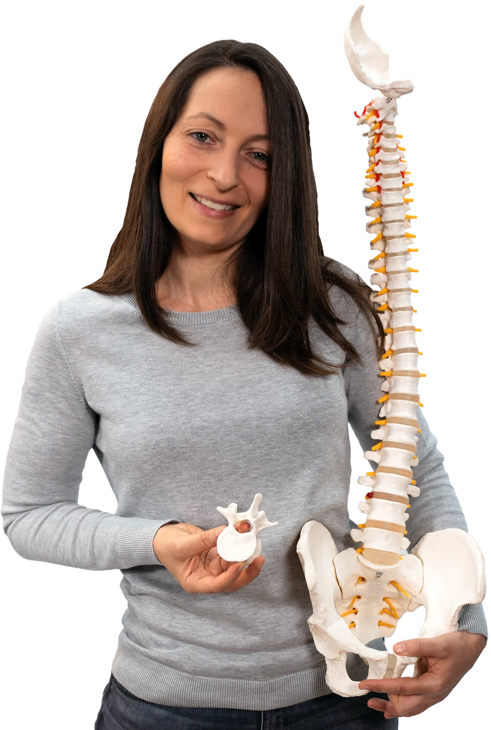 Marie Krauß, Physiotherapeutin, mit einem Wirbelsäulenmodell
