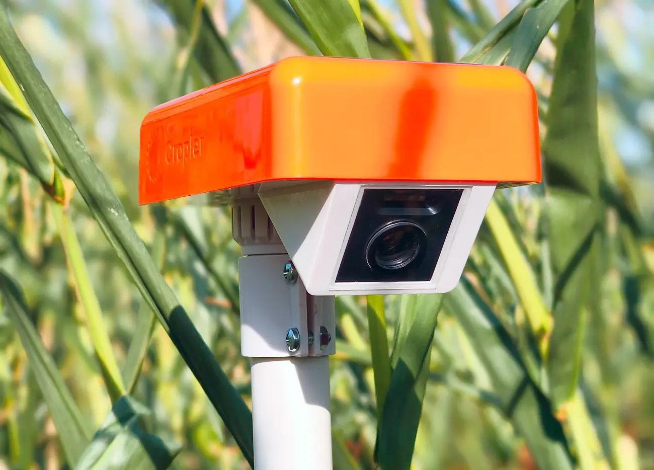 Cropler Camera