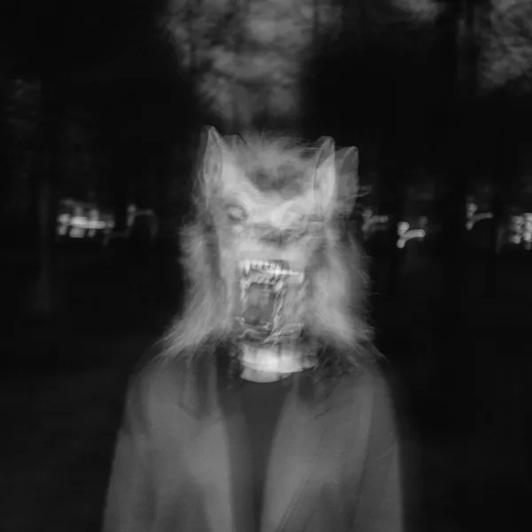 Shannon Barnett - Wolves & Mirrors