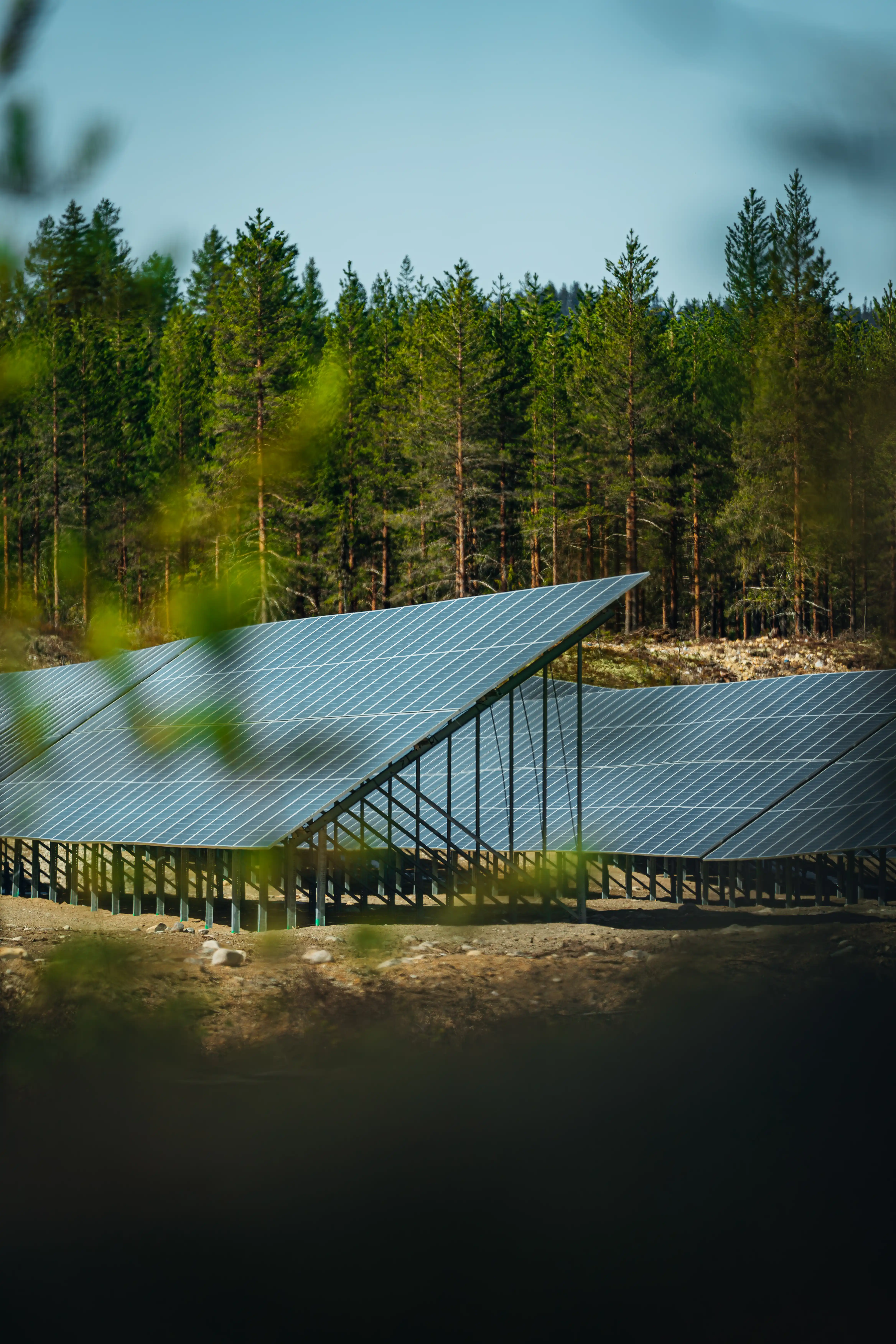Bilde av solpark