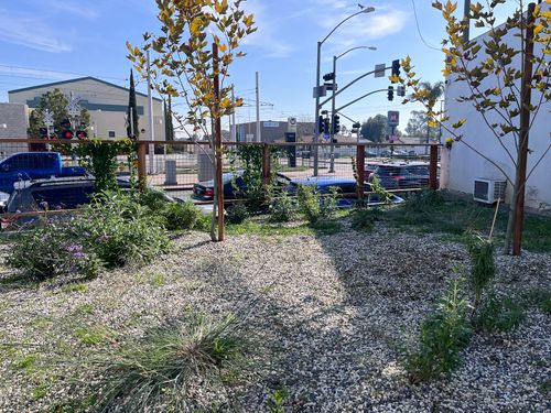 Landscaping Service In Los Angeles