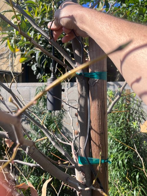 Outdoor Landscape Lighting in Los Angeles