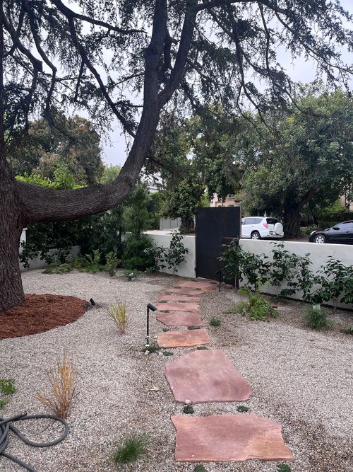 Landscape Installation in Los Angeles