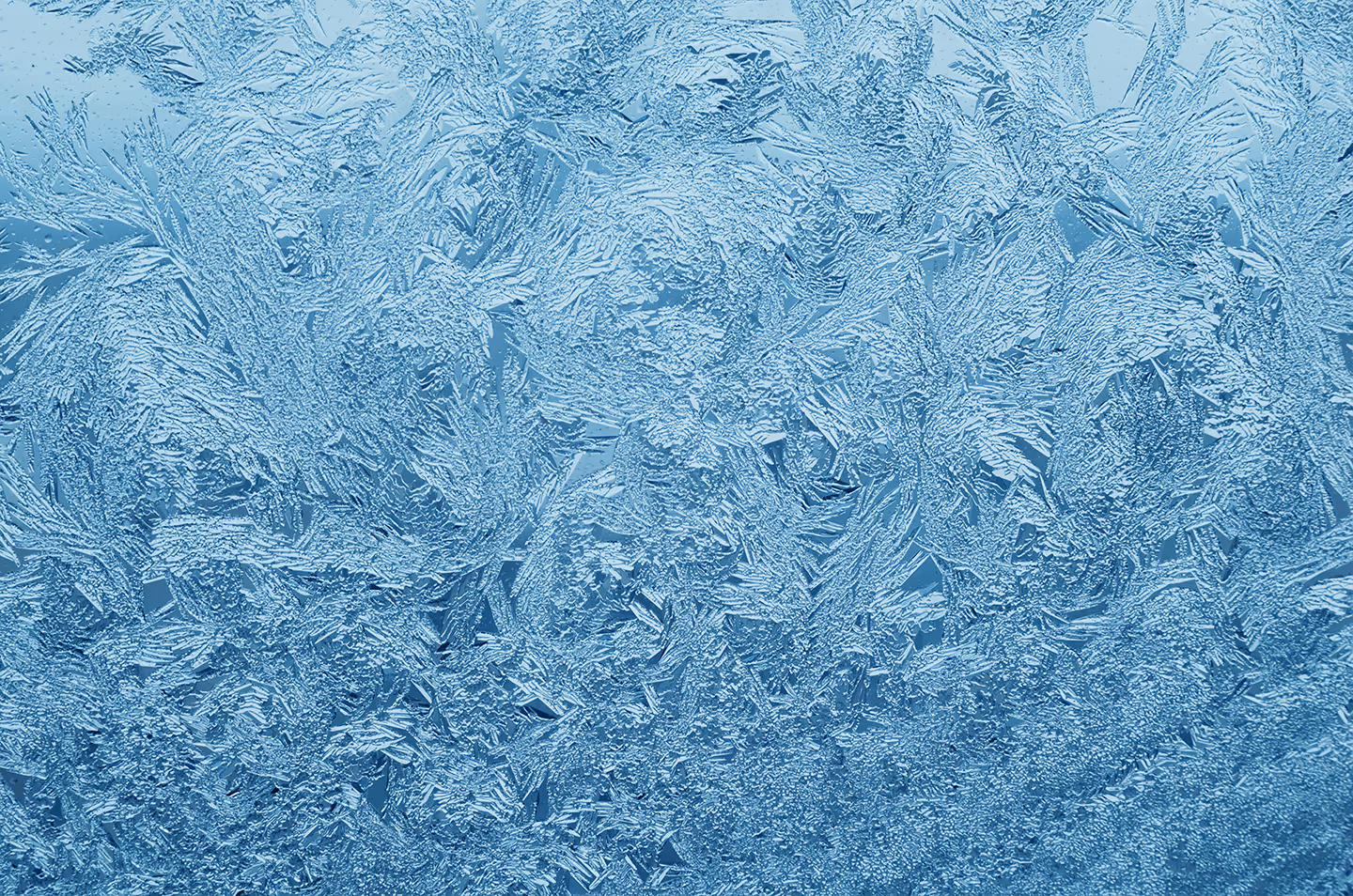 Close-up view of intricate blue frost patterns on a window.