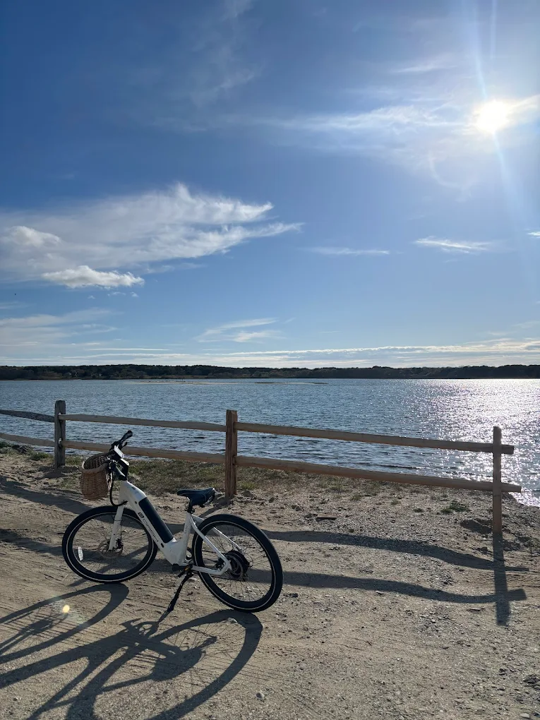 Aquinnah Gay Head Cliffs electric bike Martha's Vineyard