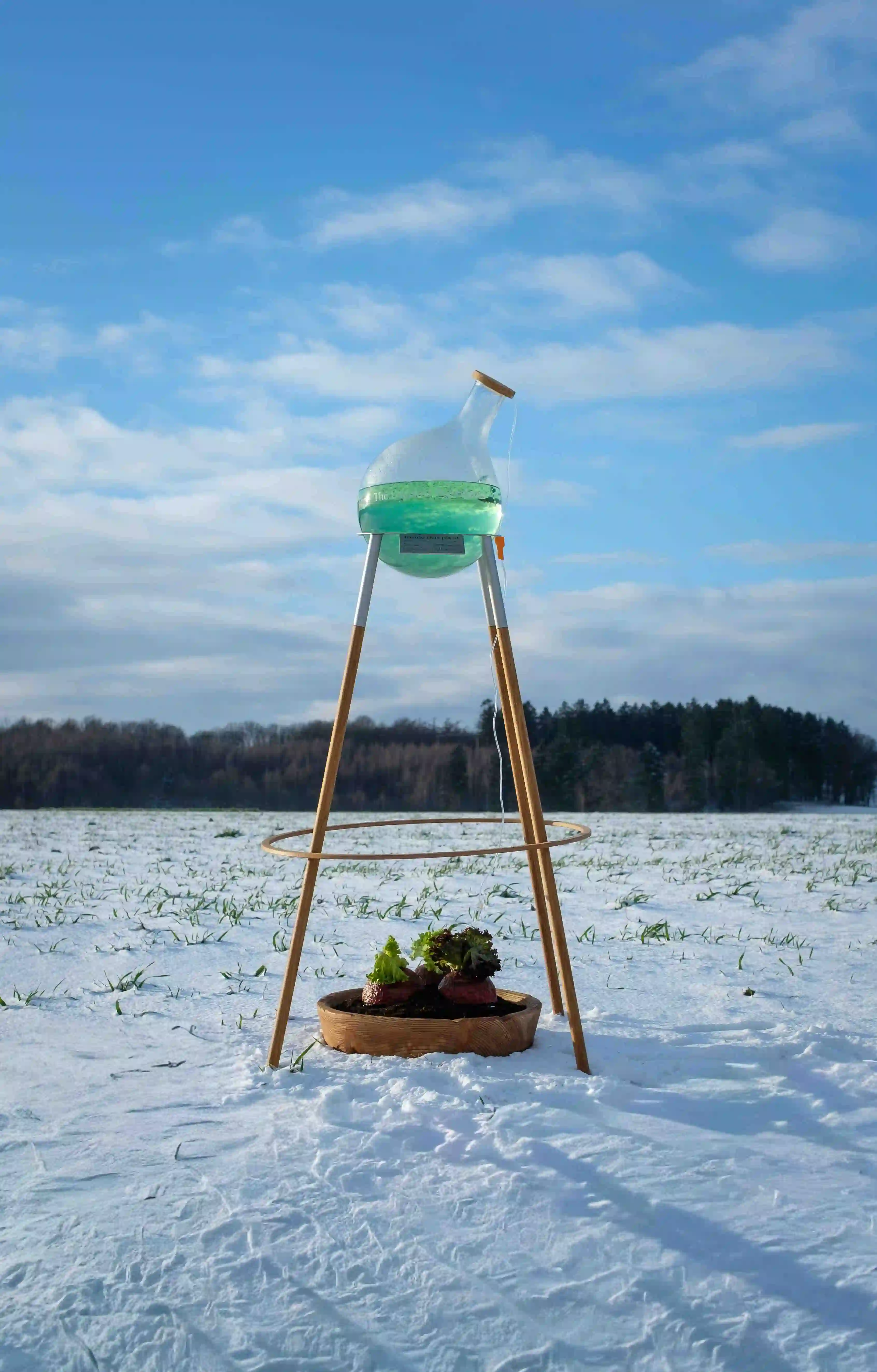 Glass vessel filled with green liquid standing above vegetables in a snowy field.