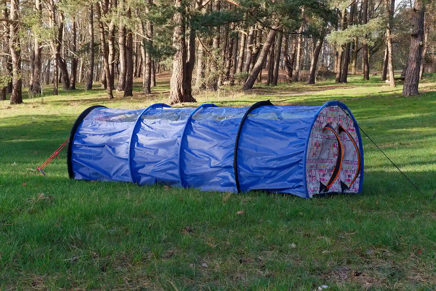 Long blue cocoon-like shelter installed on grass in a forest clearing.