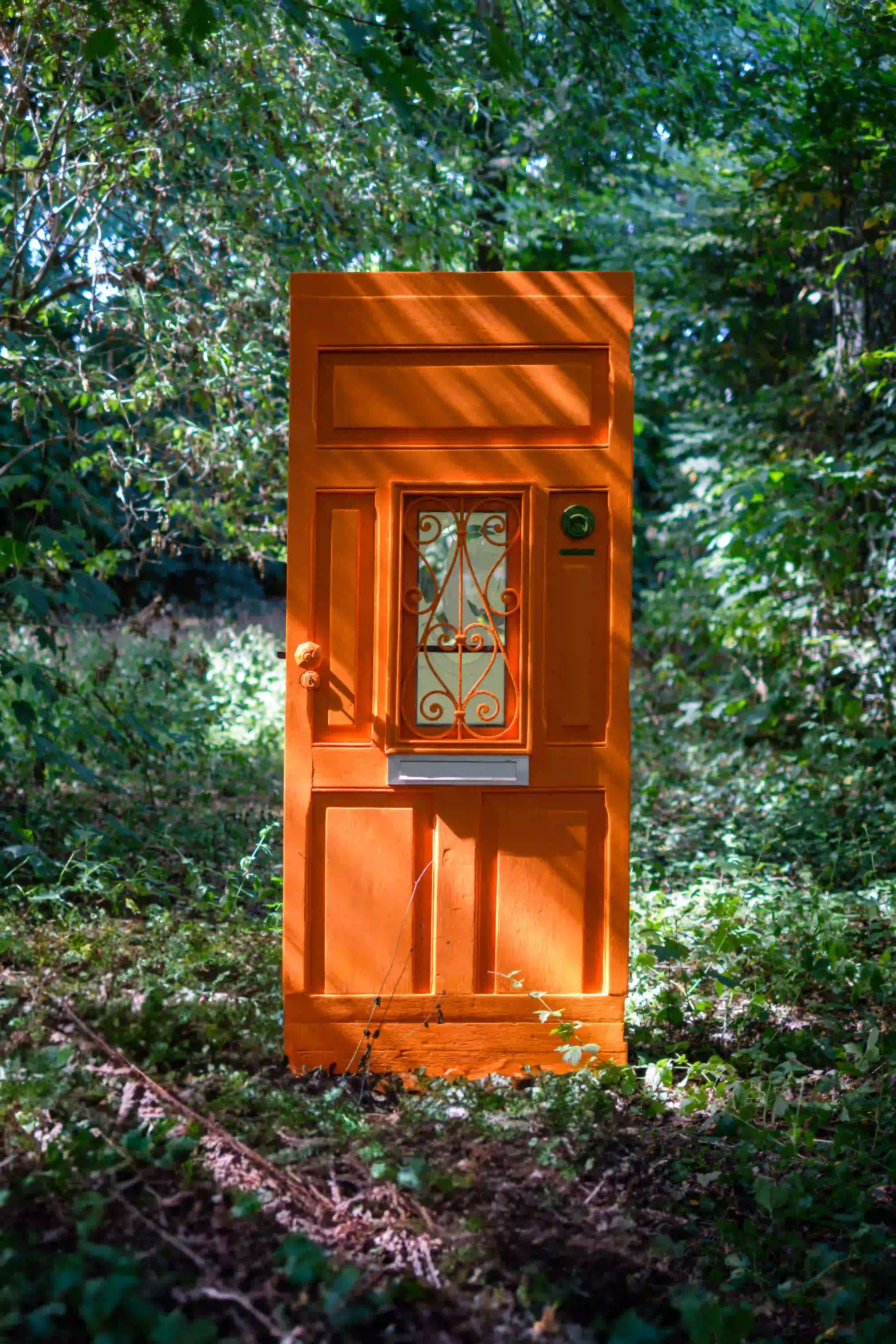 Bright orange door standing alone in a forest as part of an art installation.
