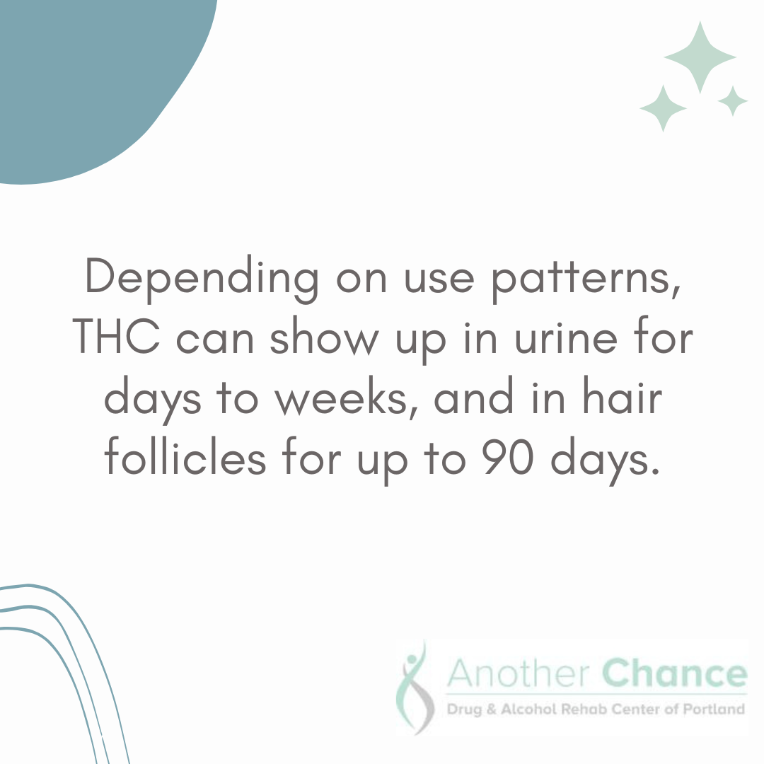 A graphic image for an article about how to get weed out of system if you're a heavy smoker, discussing how long THC can show up in urine and hair follicles